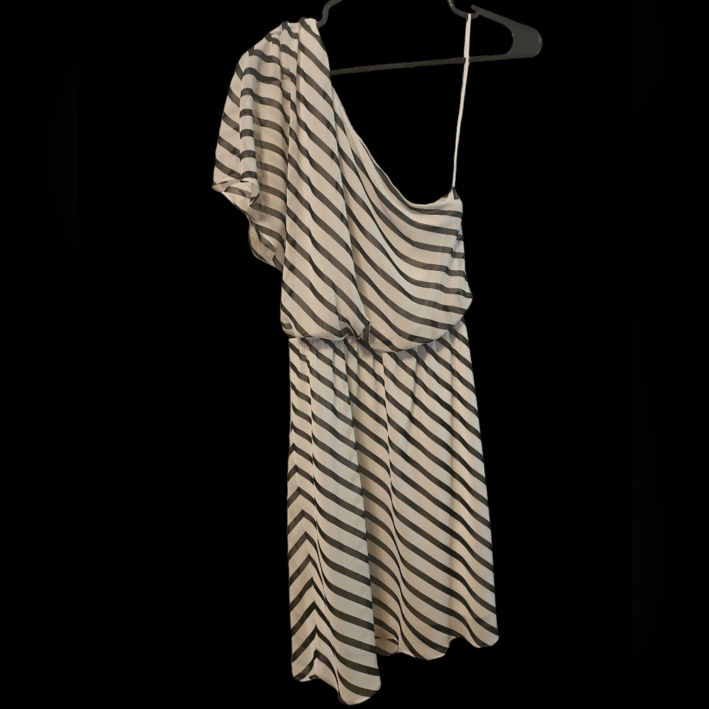 Express Dress XS